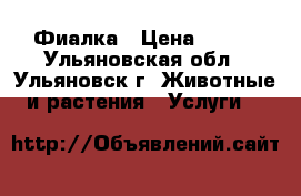 Фиалка › Цена ­ 120 - Ульяновская обл., Ульяновск г. Животные и растения » Услуги   